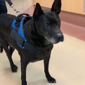 Meet your Posher, Marcus